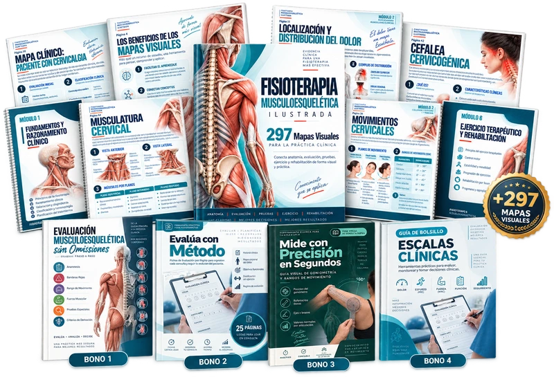 +297 mapas visuales de fisioterapia musculoesquelética — colección de hojas clínicas, tablet y sello de garantía